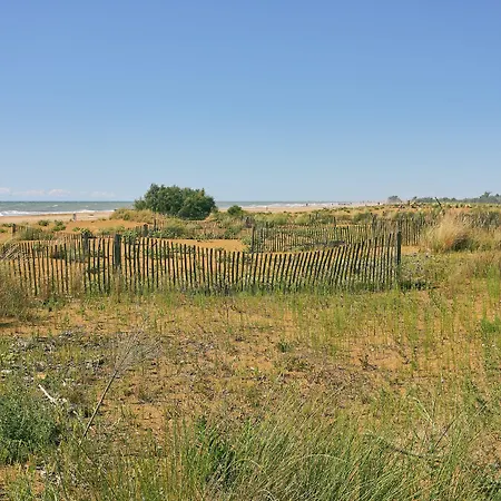 Comfy With Balcony And Ac *